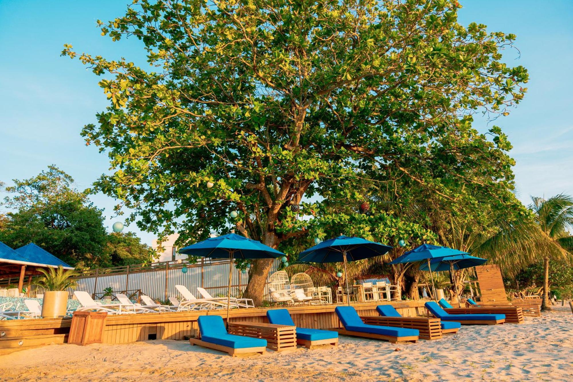 Blue Roatan Resort West Bay Exterior photo